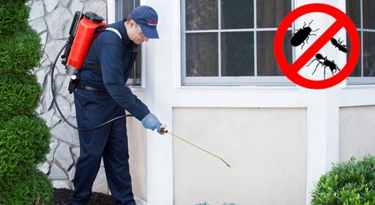 Bingöl Dezenfeksiyon böcek ilaçlama ve haşere kontrolü — ilaclama-tr.com